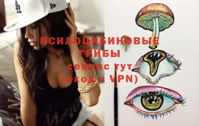 мега ТОР  Горняк  Галлюциногенные грибы Psilocybe 